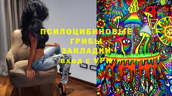 дурь Алексин