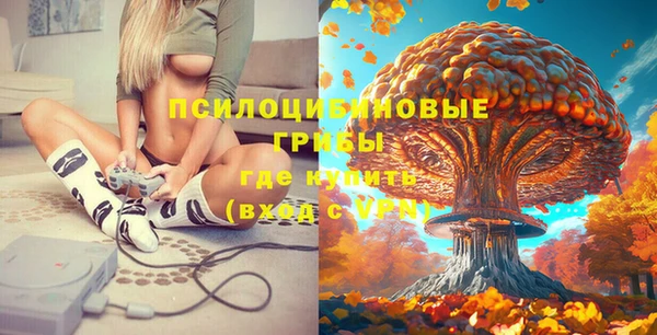 а пвп мука Алексеевка