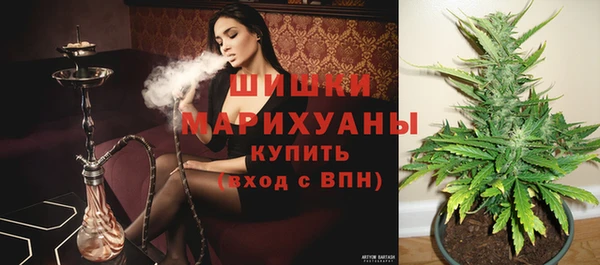 дурь Алзамай