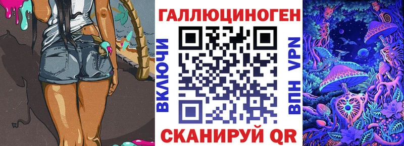 omg   купить наркоту  Евпатория  Псилоцибиновые грибы Psilocybine cubensis 