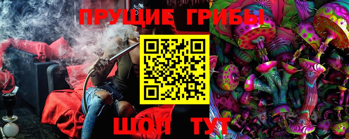 Евпатория  Псилоцибиновые грибы MAGIC MUSHROOMS  Вход с VPN 