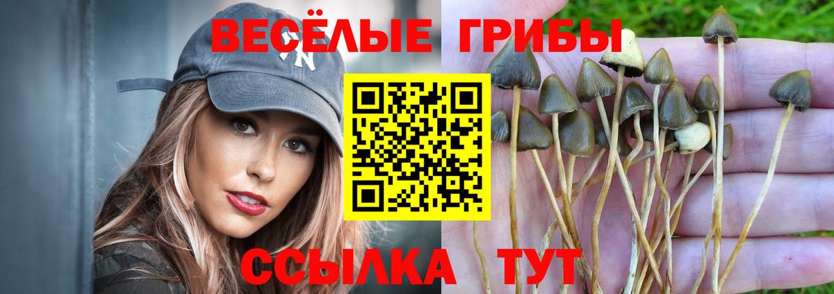 Галлюциногенные грибы мицелий Евпатория